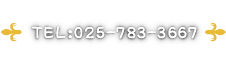 TEL:025-783-3667